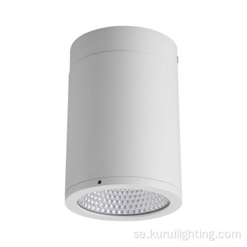 Utomhusvit 30W LED -ytmonterad rundljus